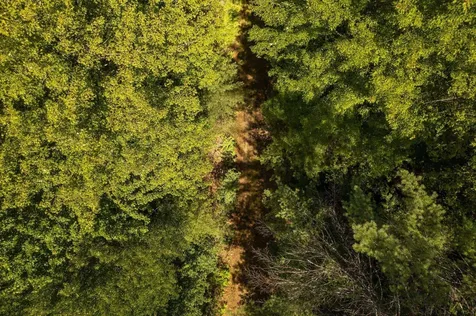 00 Nh Route 12a Plainfield NH 03781