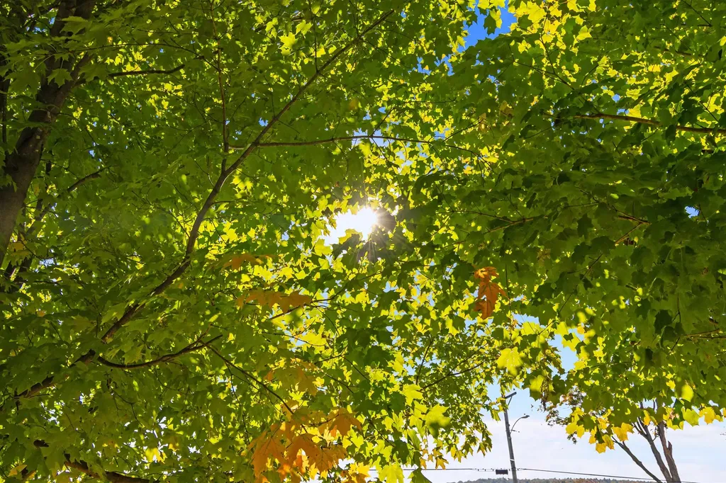 123 North Road Fairfield VT 05455