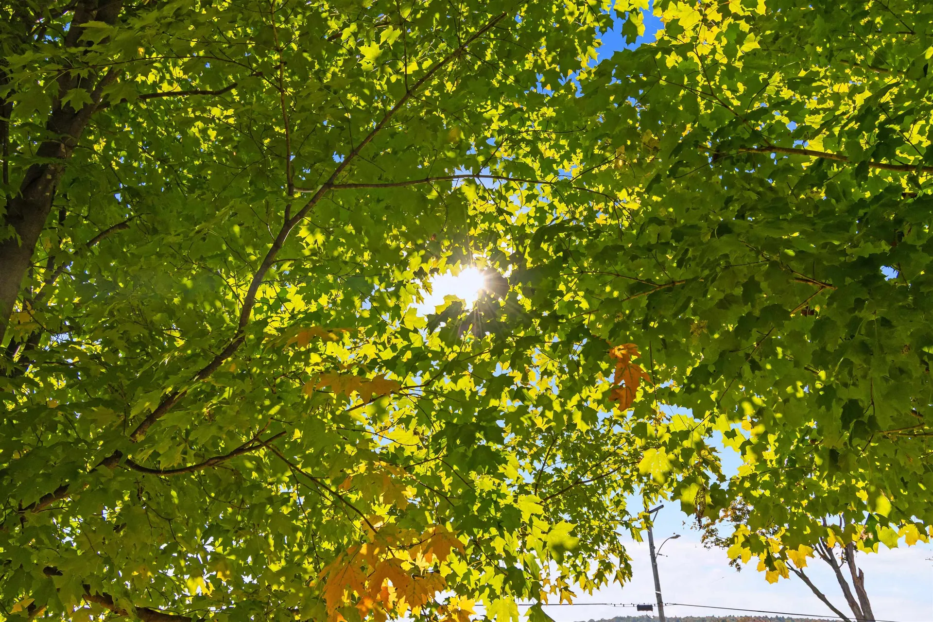 123 North Road Fairfield VT 05455