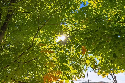 123 North Road Fairfield VT 05455