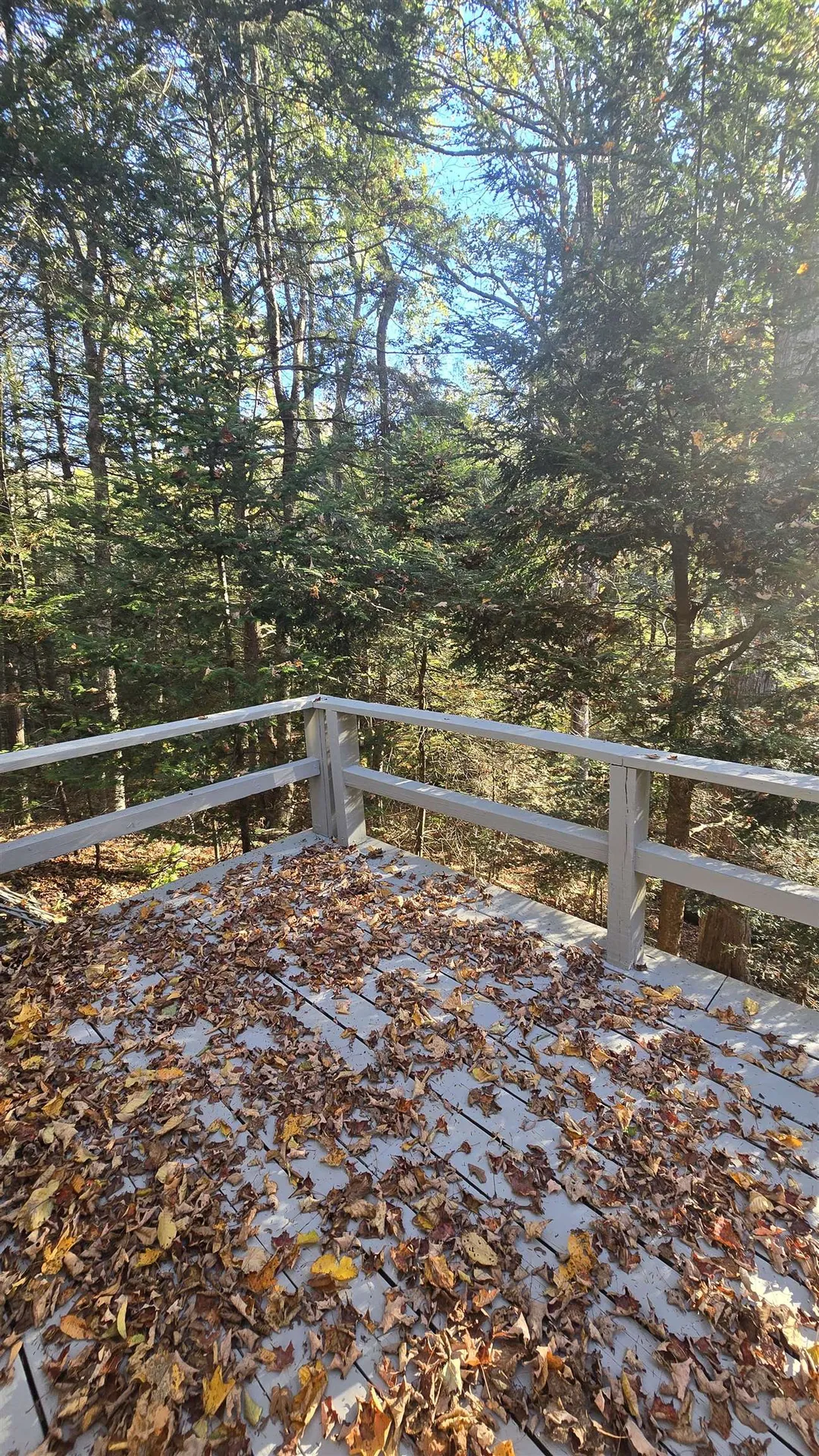 64 Troon Drive Grantham NH 03753