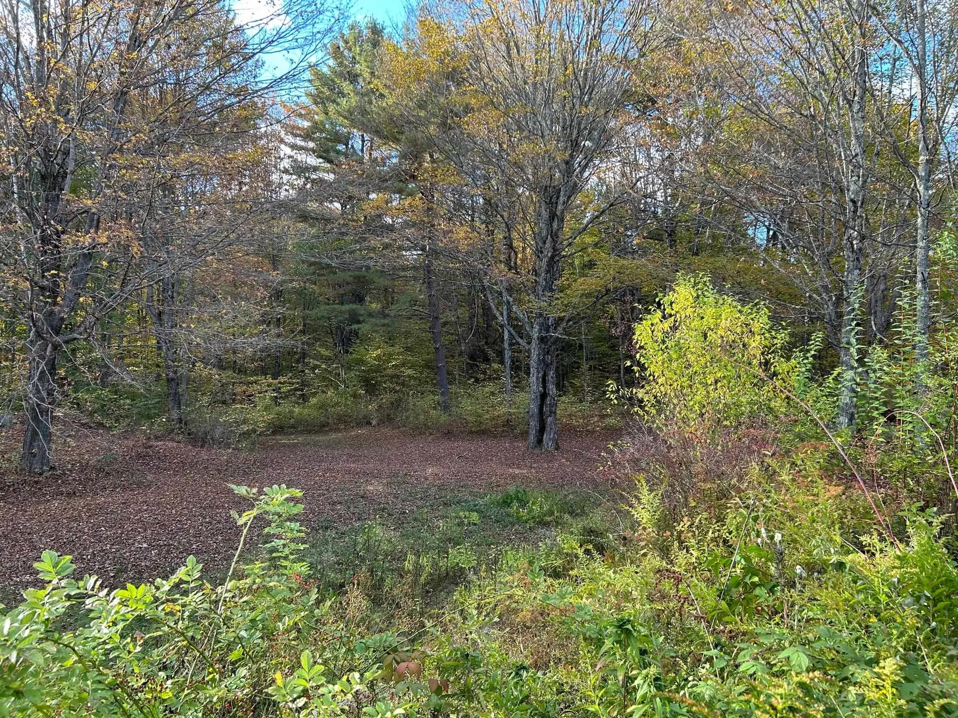 77 Winding Road West Windsor VT 05037