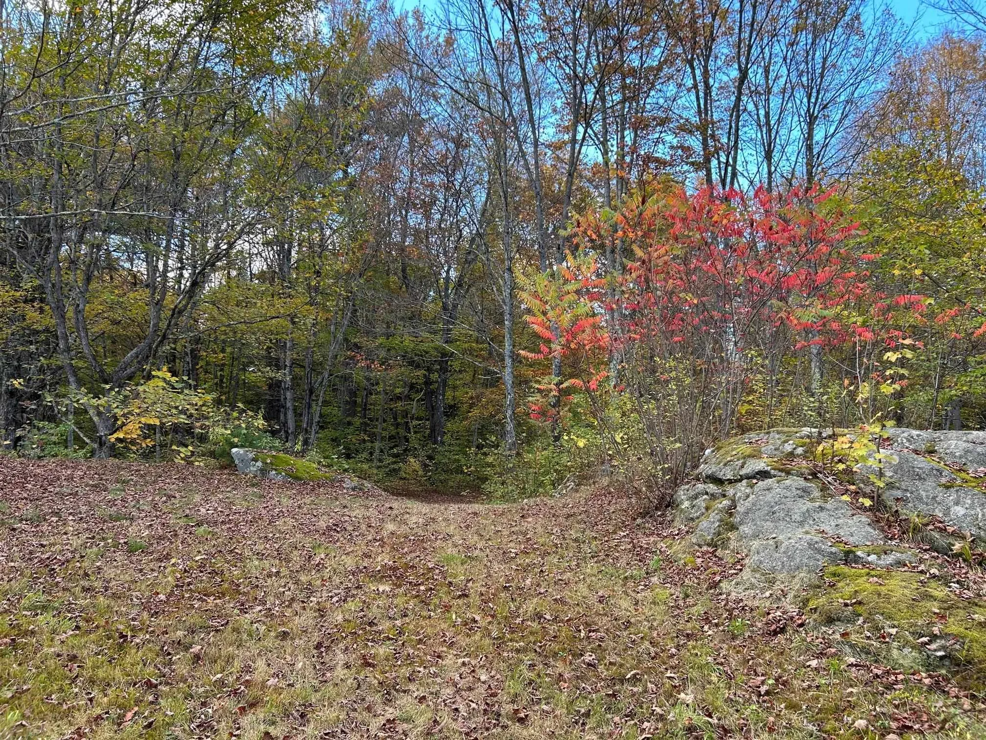 77 Winding Road West Windsor VT 05037