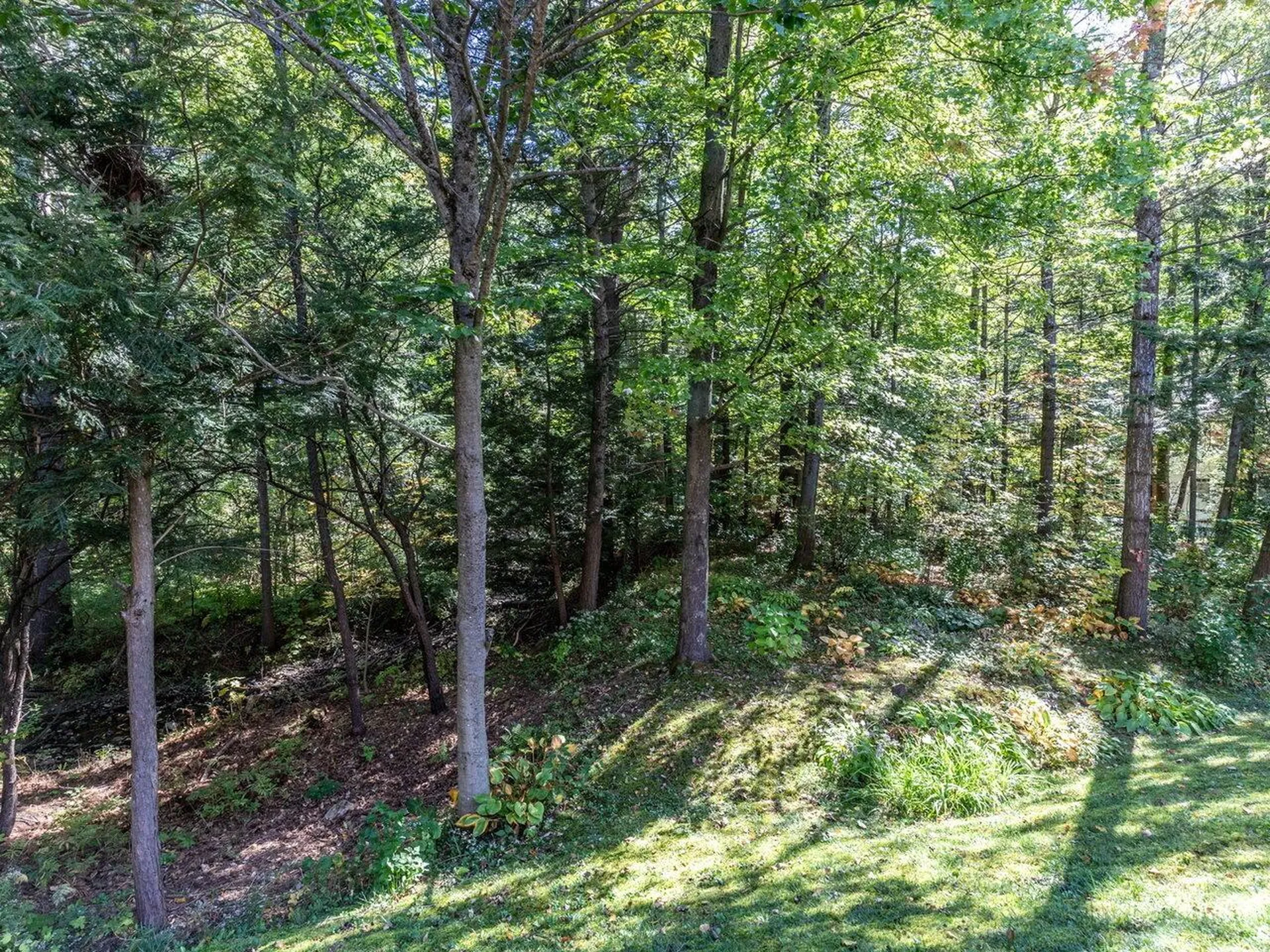 69 Joy Drive South Burlington VT 05403