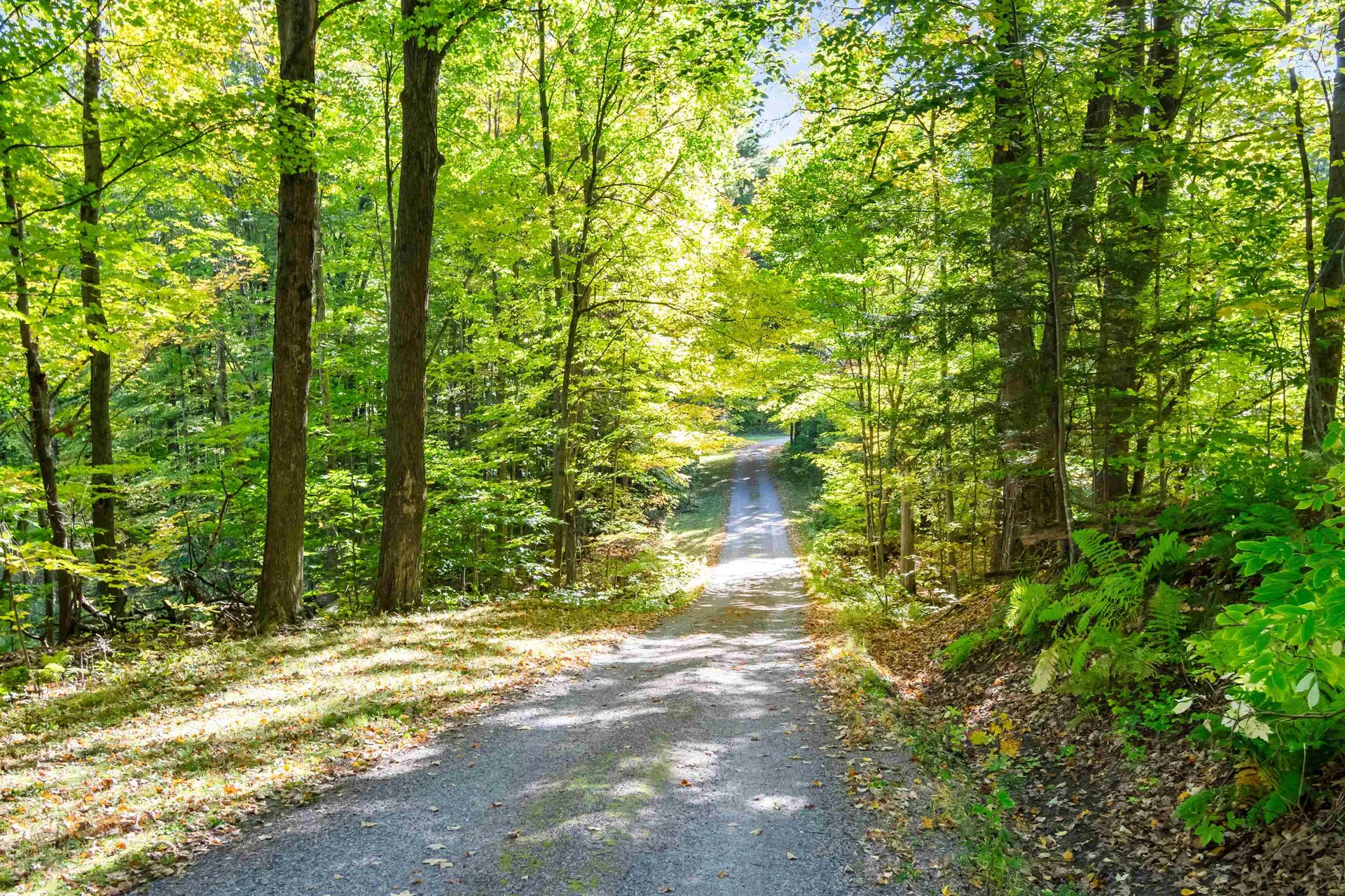 446 Sanderson Road Milton VT 05468