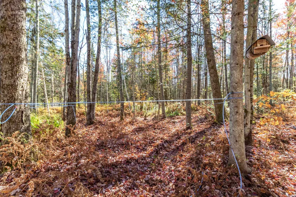 444 Bowenville Road Troy VT 05859