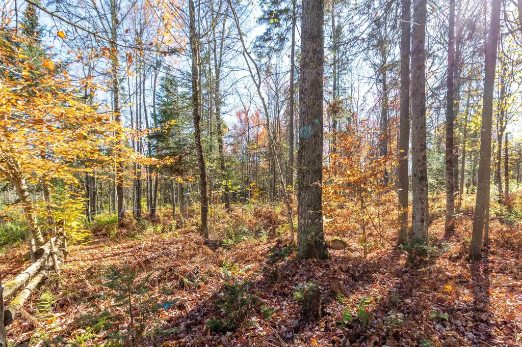 444 Bowenville Road Troy VT 05859