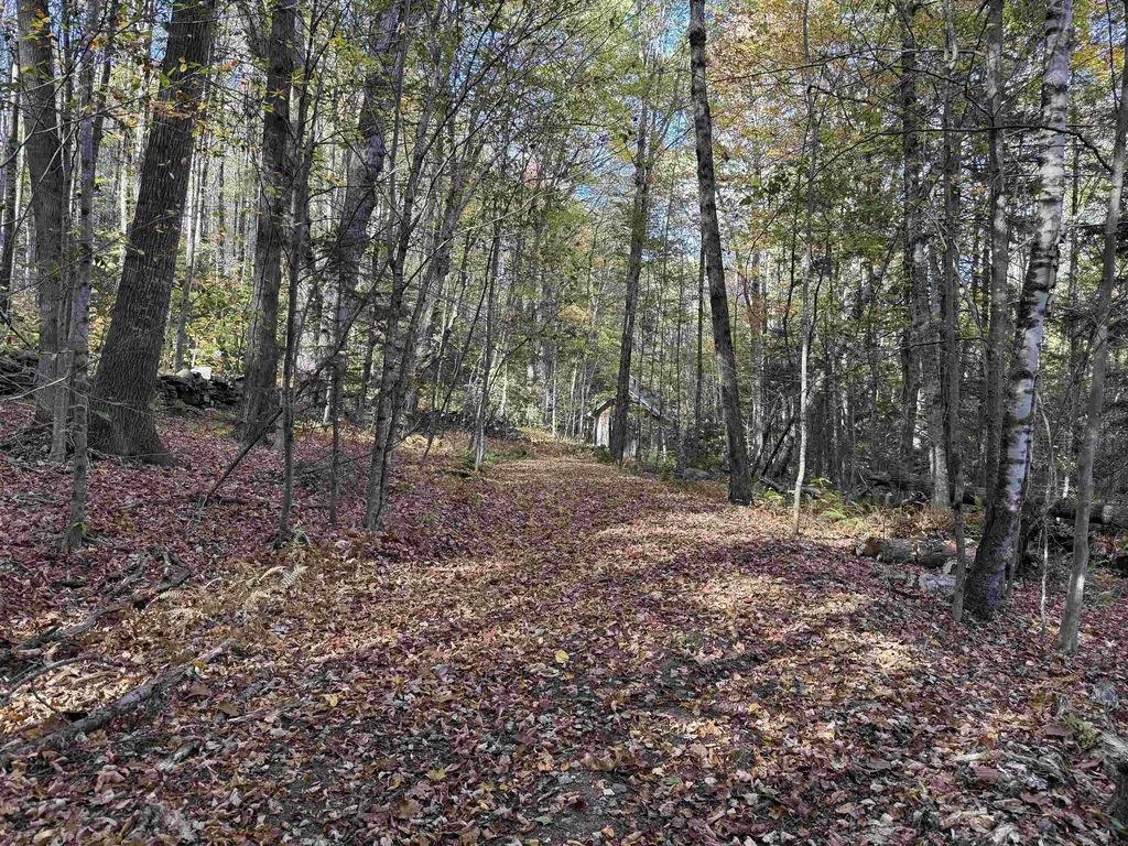 104 Karen Day Road Halifax VT 05358