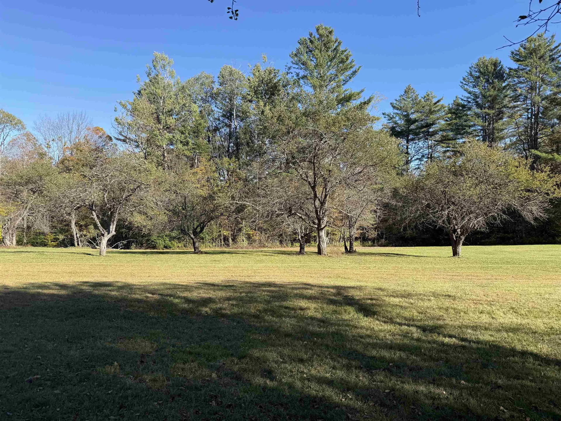 104 Karen Day Road Halifax VT 05358