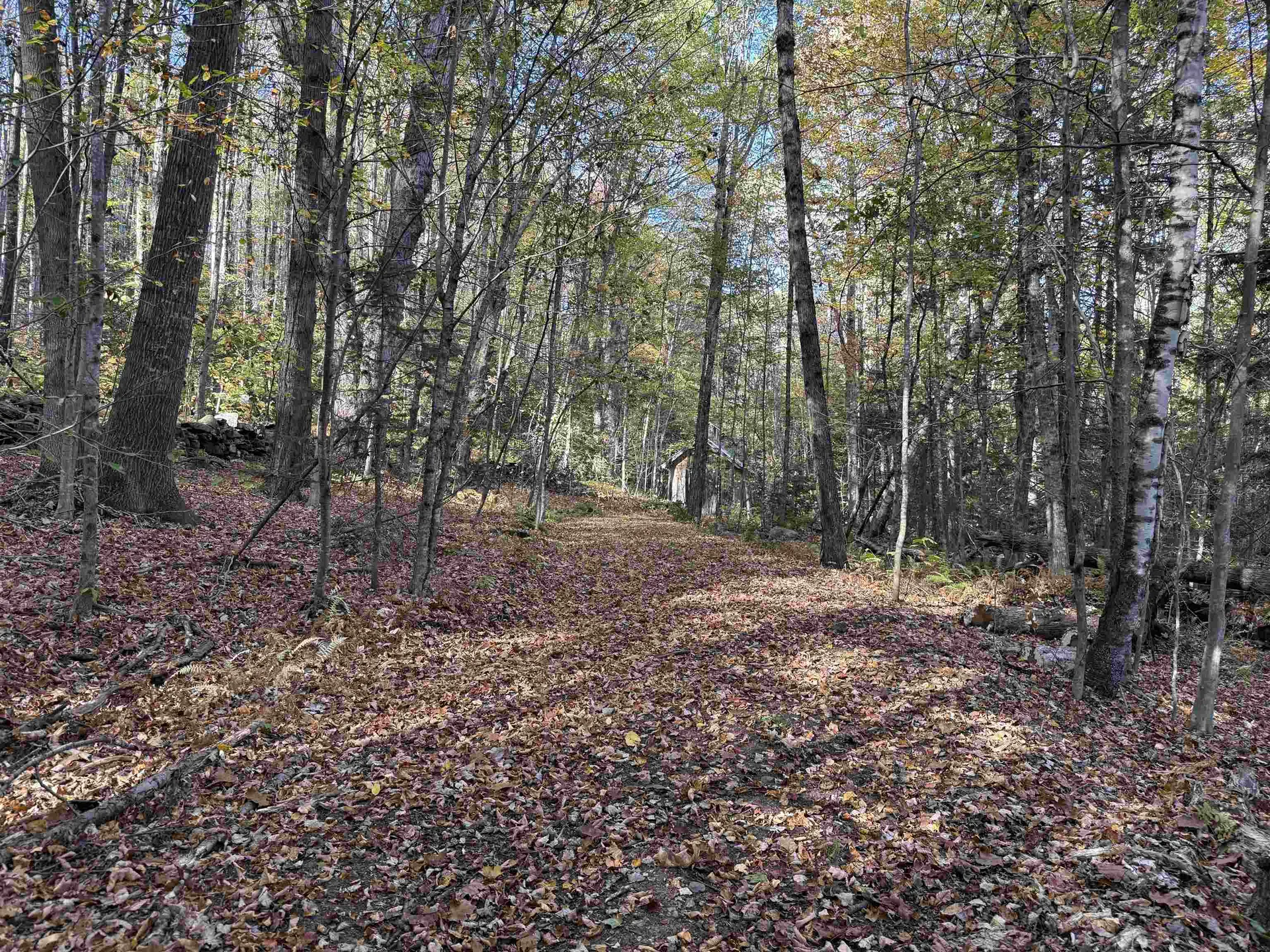 104 Karen Day Road Halifax VT 05358