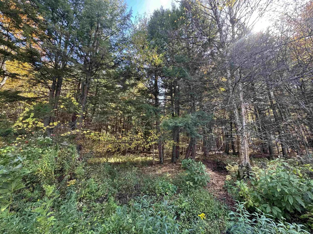 0 Green Hill Lane Wallingford VT 05773