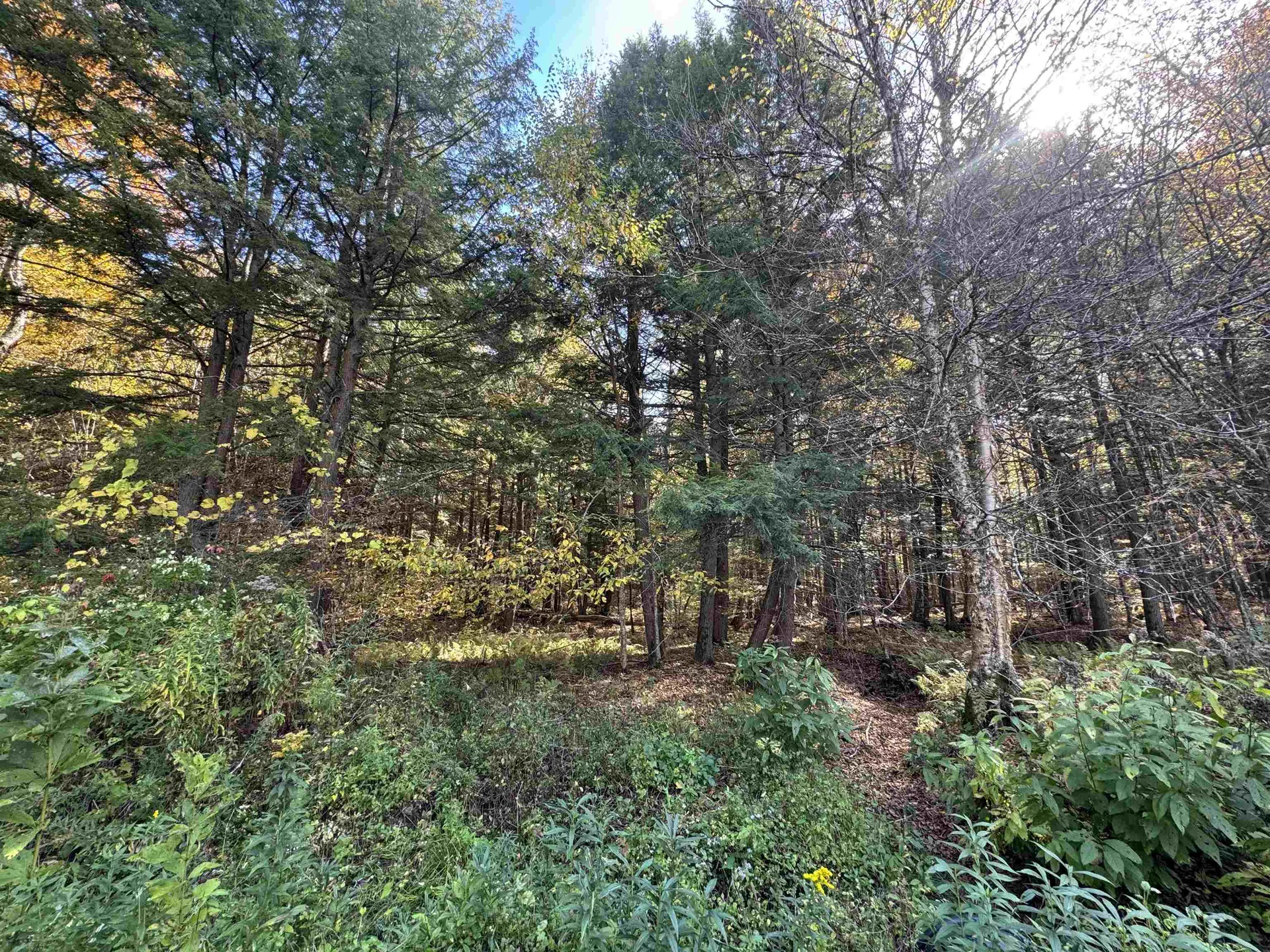 0 Green Hill Lane Wallingford VT 05773