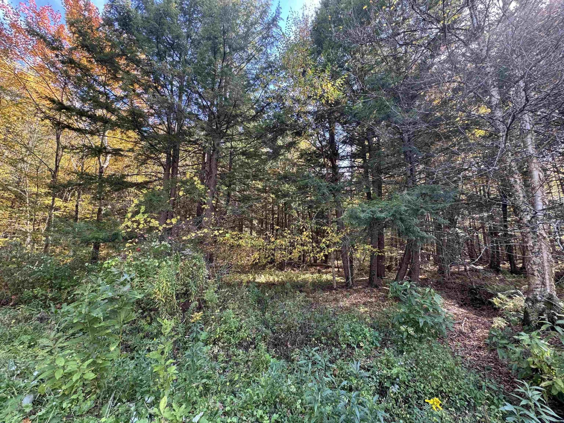 0 Green Hill Lane Wallingford VT 05773