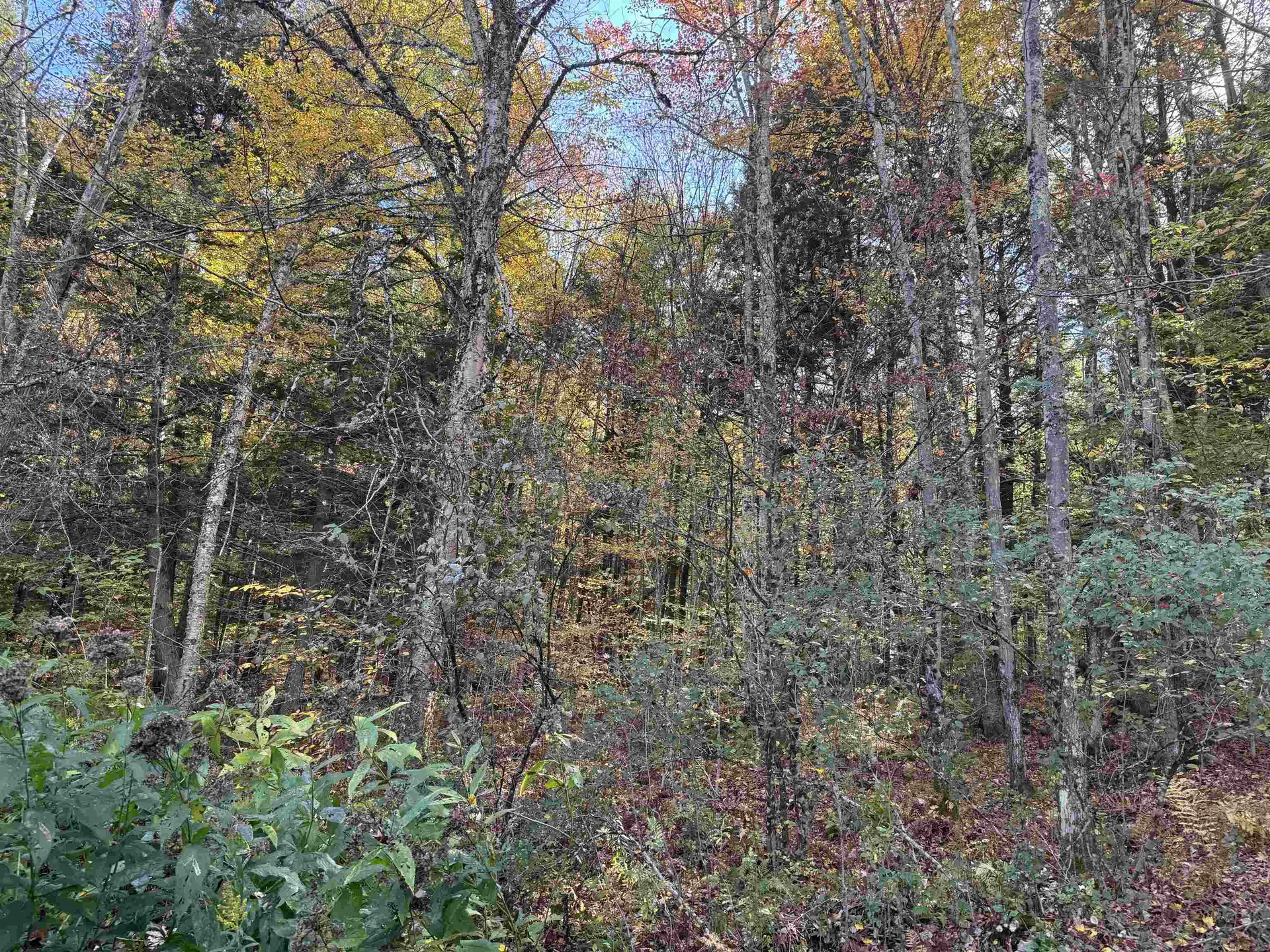 0 Green Hill Lane Wallingford VT 05773