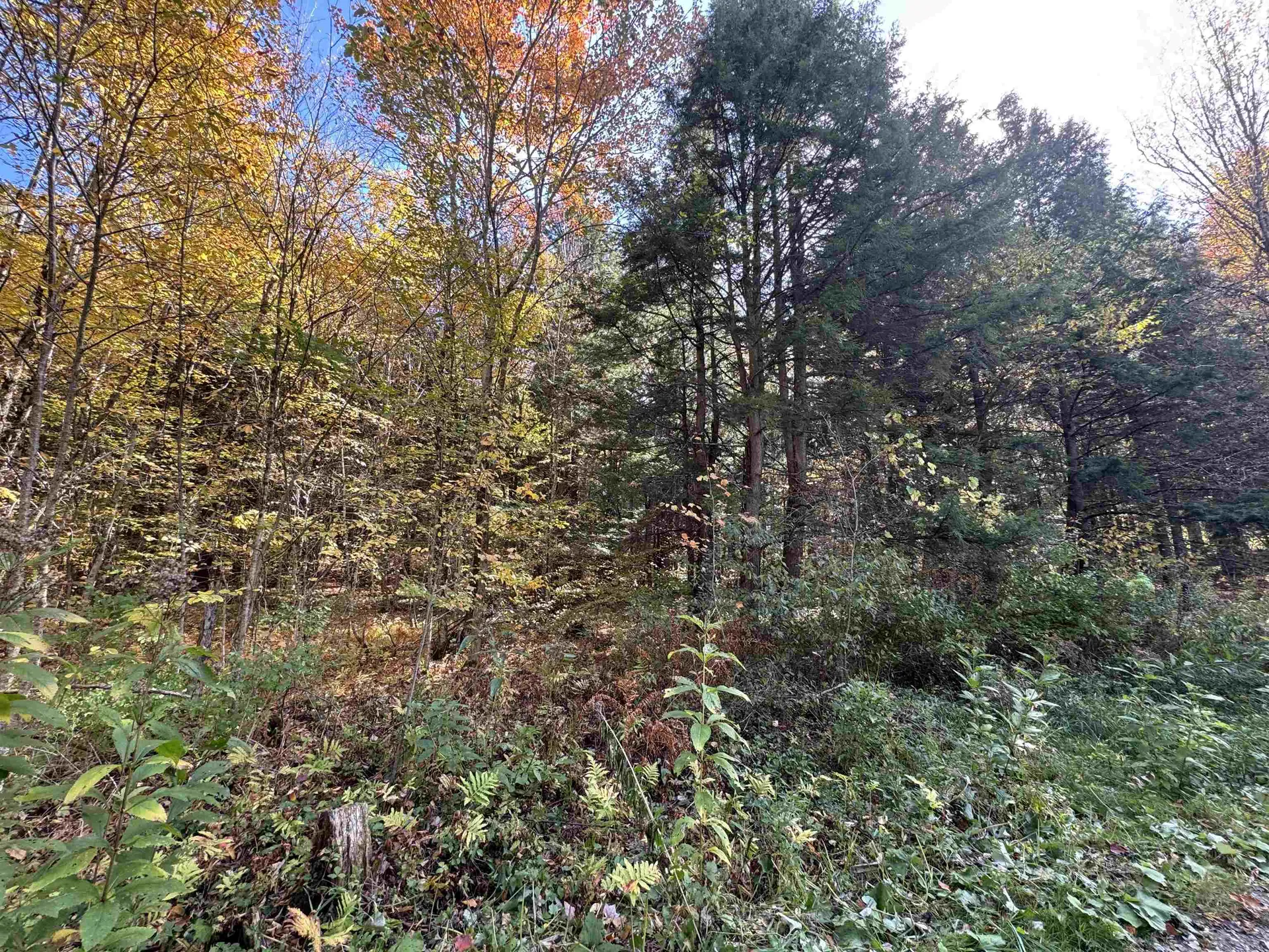 0 Green Hill Lane Wallingford VT 05773