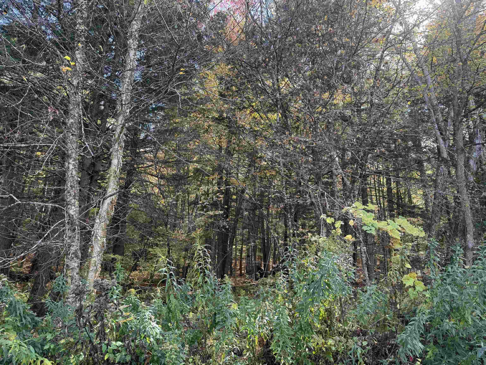 0 Green Hill Lane Wallingford VT 05773