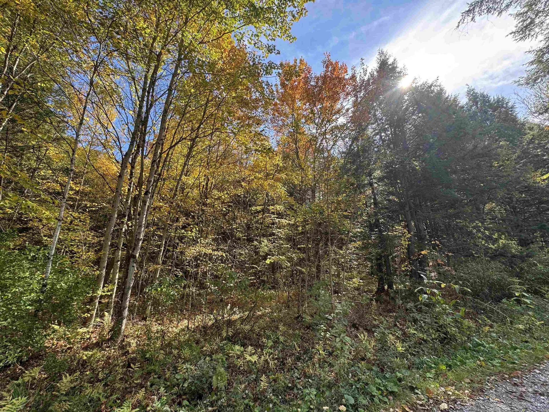 0 Green Hill Lane Wallingford VT 05773