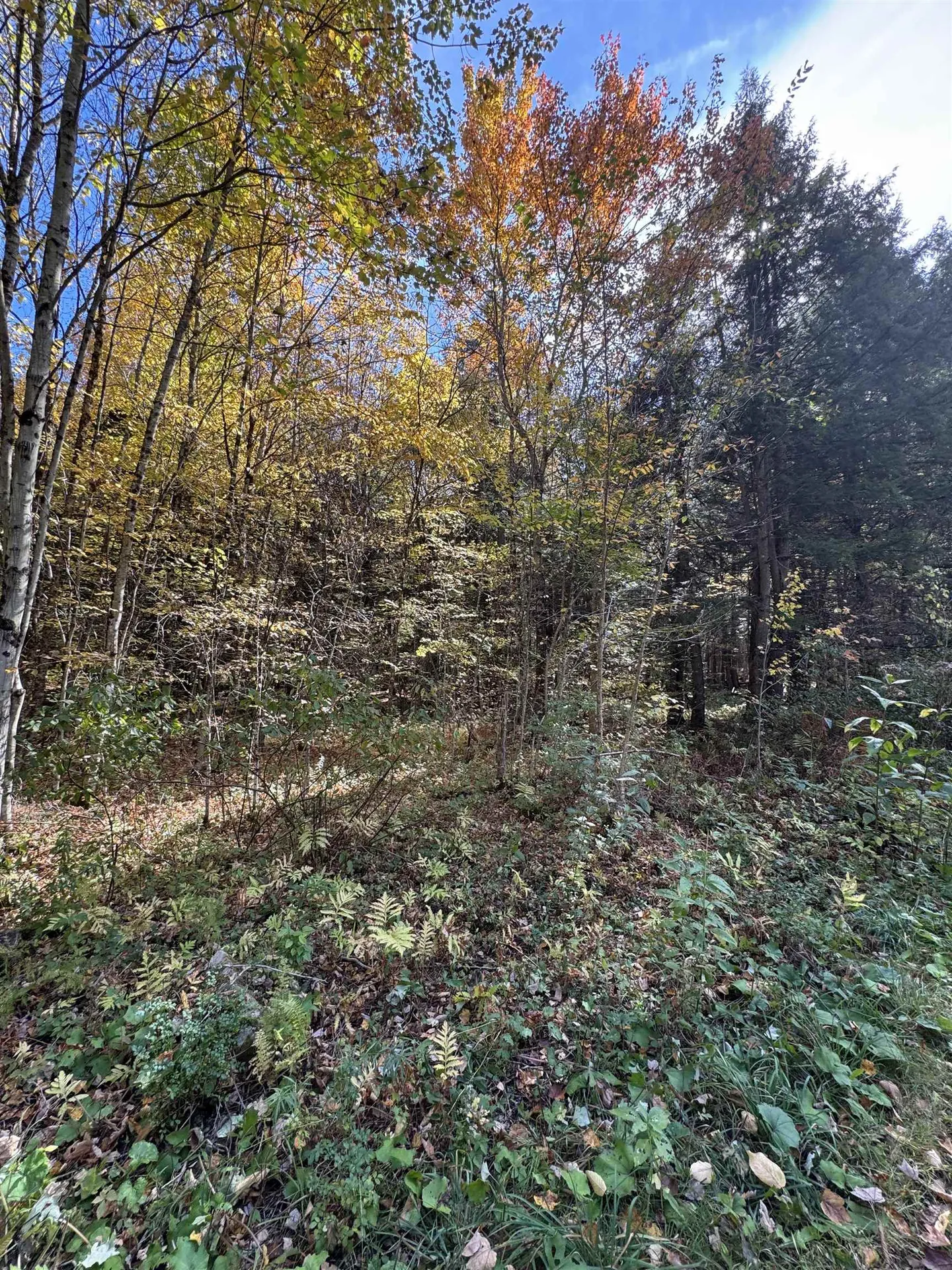 0 Green Hill Lane Wallingford VT 05773