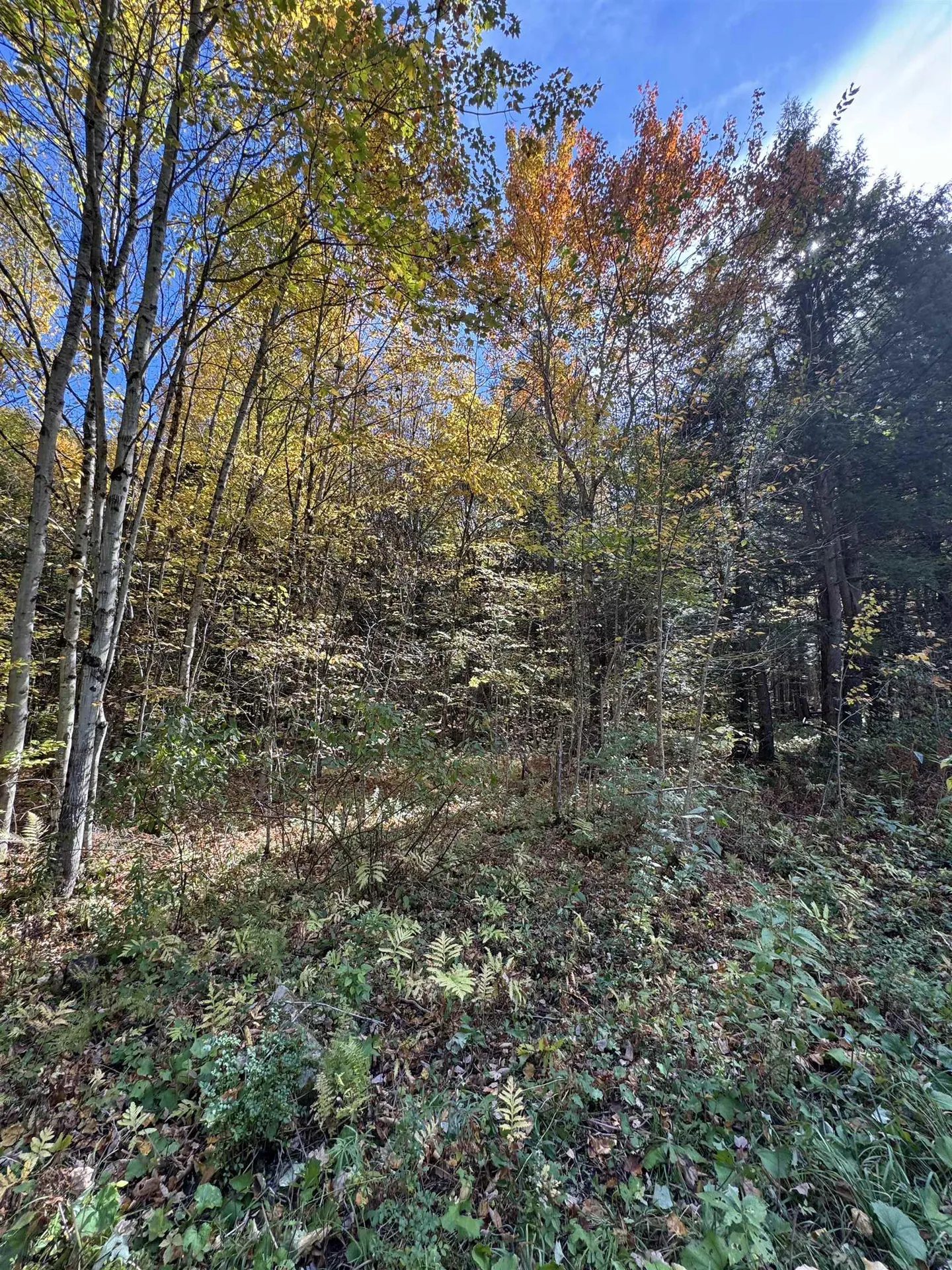 0 Green Hill Lane Wallingford VT 05773