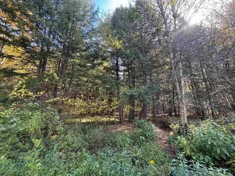 0 Green Hill Lane Wallingford VT 05773
