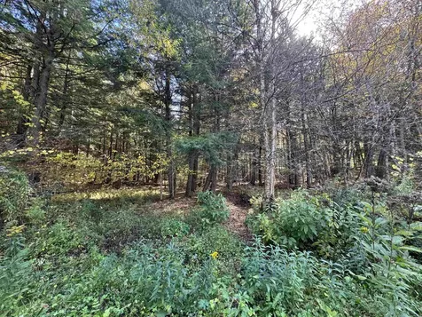 0 Green Hill Lane Wallingford VT 05773