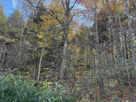 0 Green Hill Lane Wallingford VT 05773