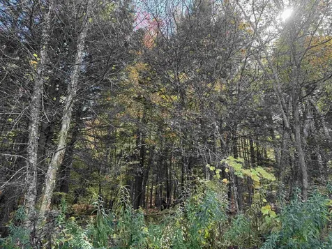 0 Green Hill Lane Wallingford VT 05773