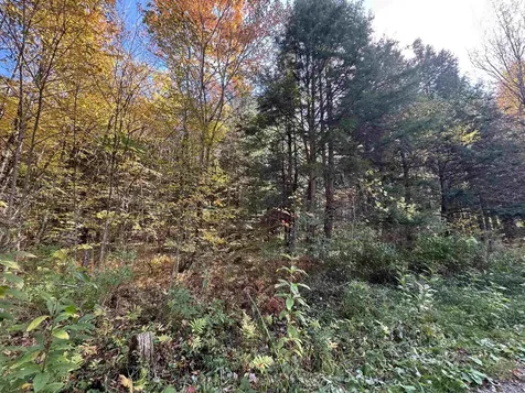 0 Green Hill Lane Wallingford VT 05773