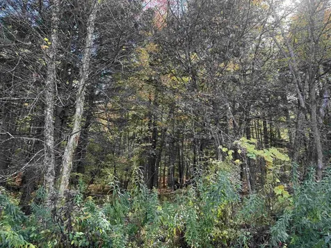 0 Green Hill Lane Wallingford VT 05773