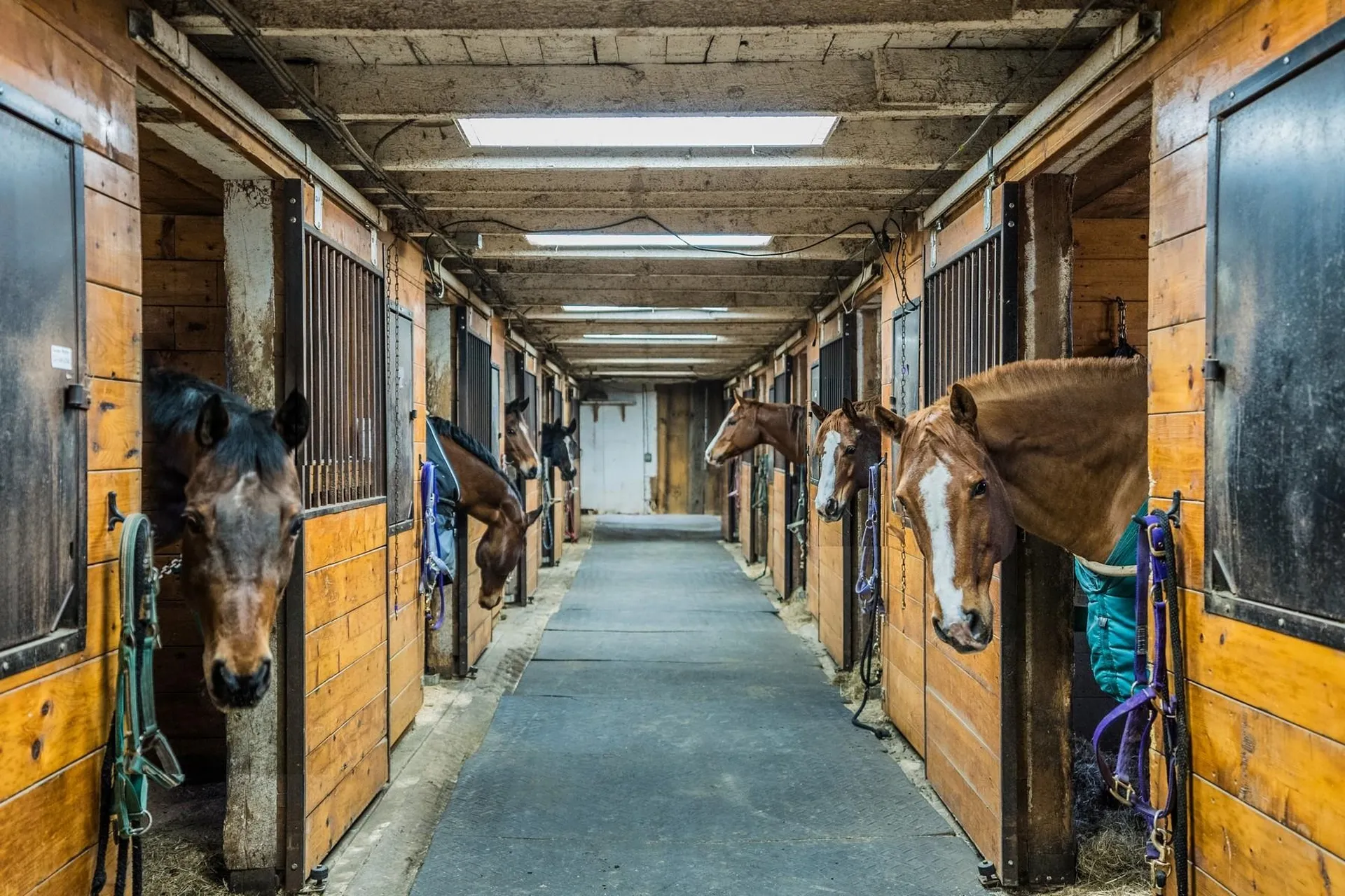 960 East Pittsford Road Rutland Town VT 05701