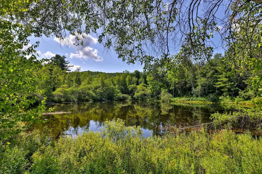 2140 Brandon Mountain Road Rochester VT 05767
