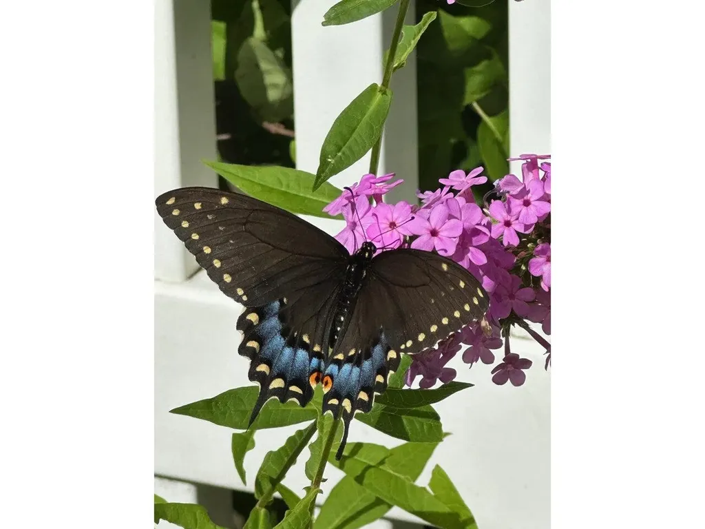 17 Westward Drive Burlington VT 05408