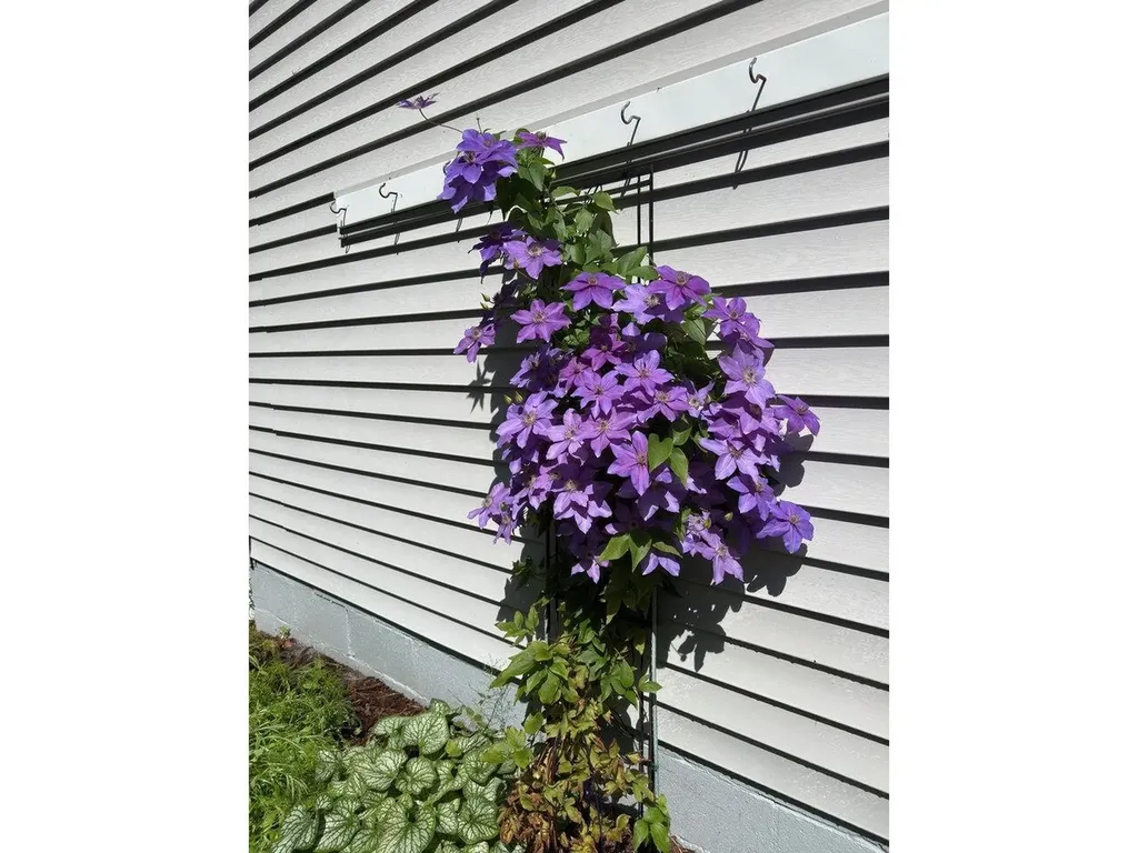 17 Westward Drive Burlington VT 05408