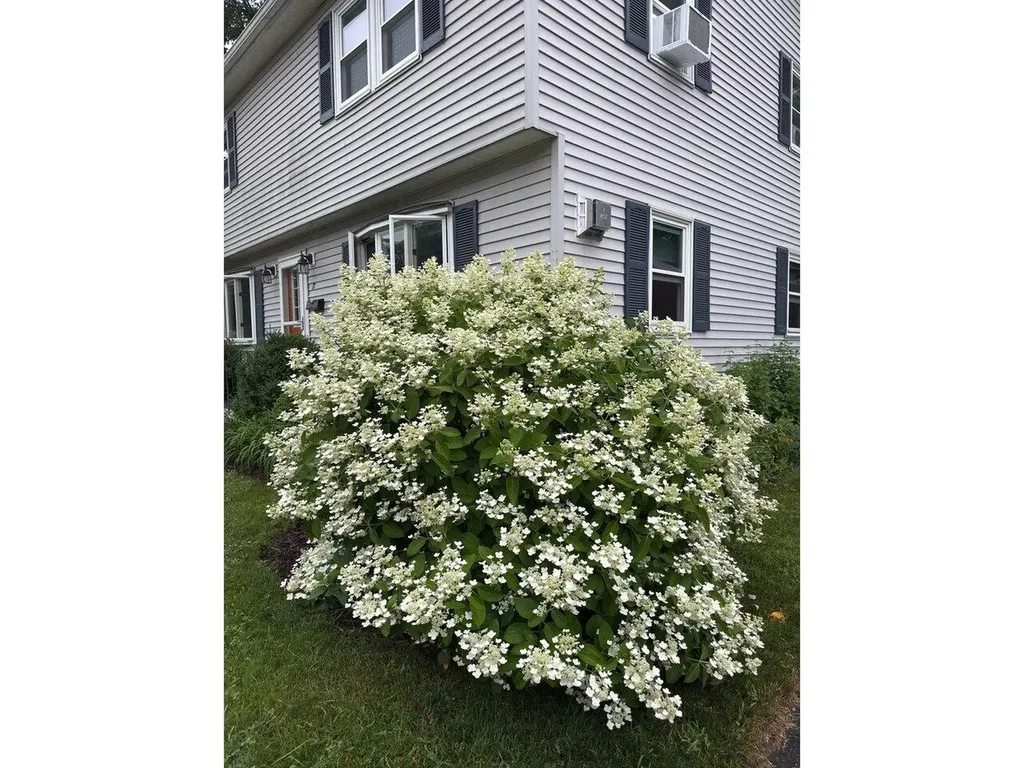 17 Westward Drive Burlington VT 05408