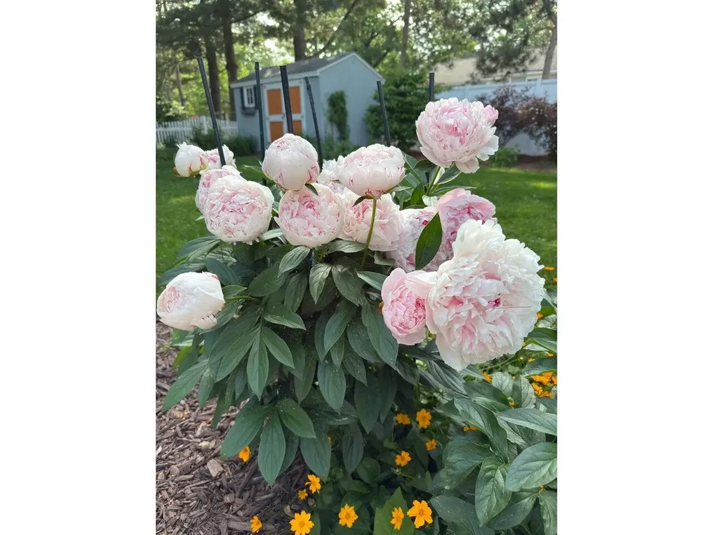 17 Westward Drive Burlington VT 05408