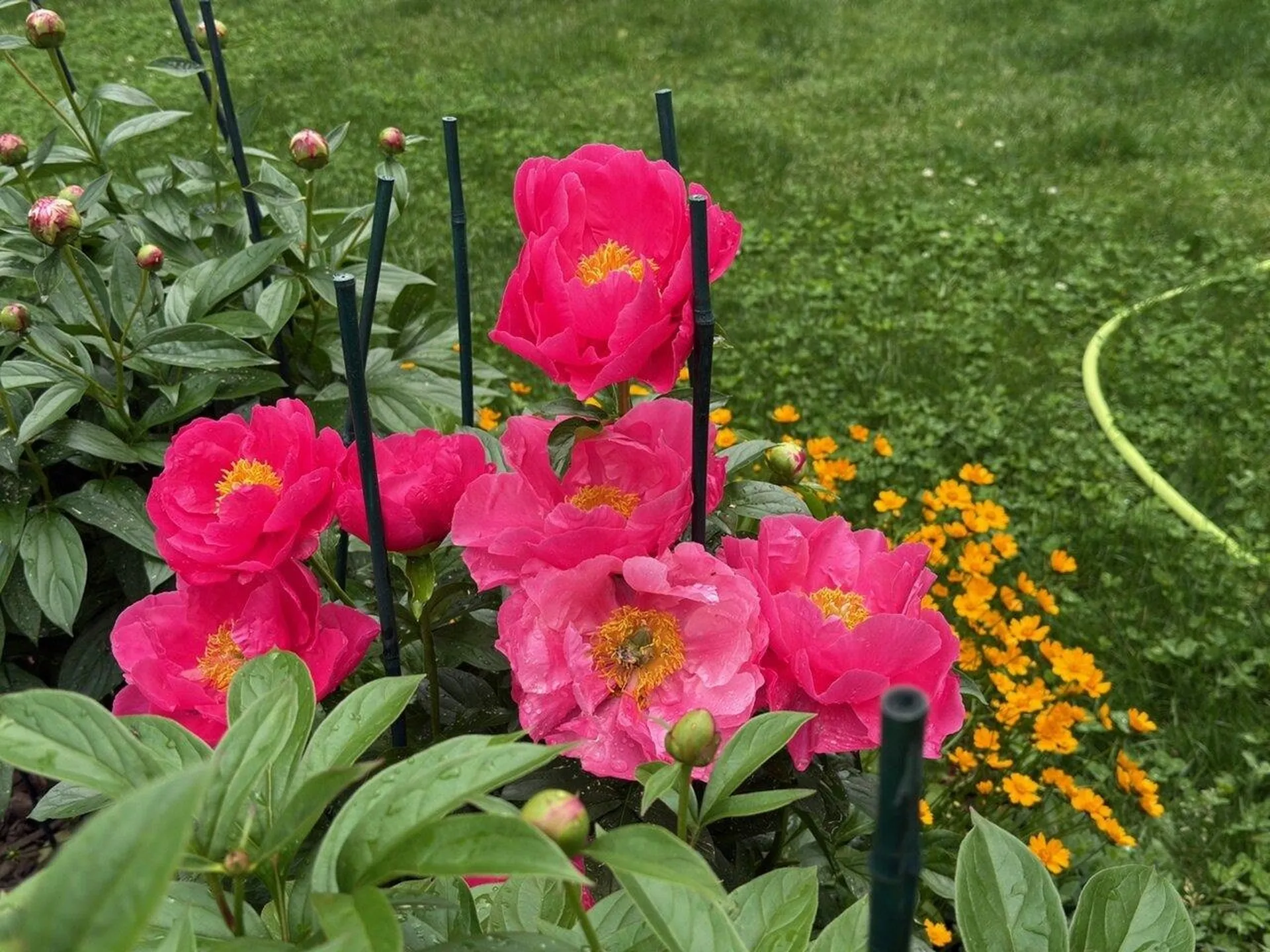 17 Westward Drive Burlington VT 05408