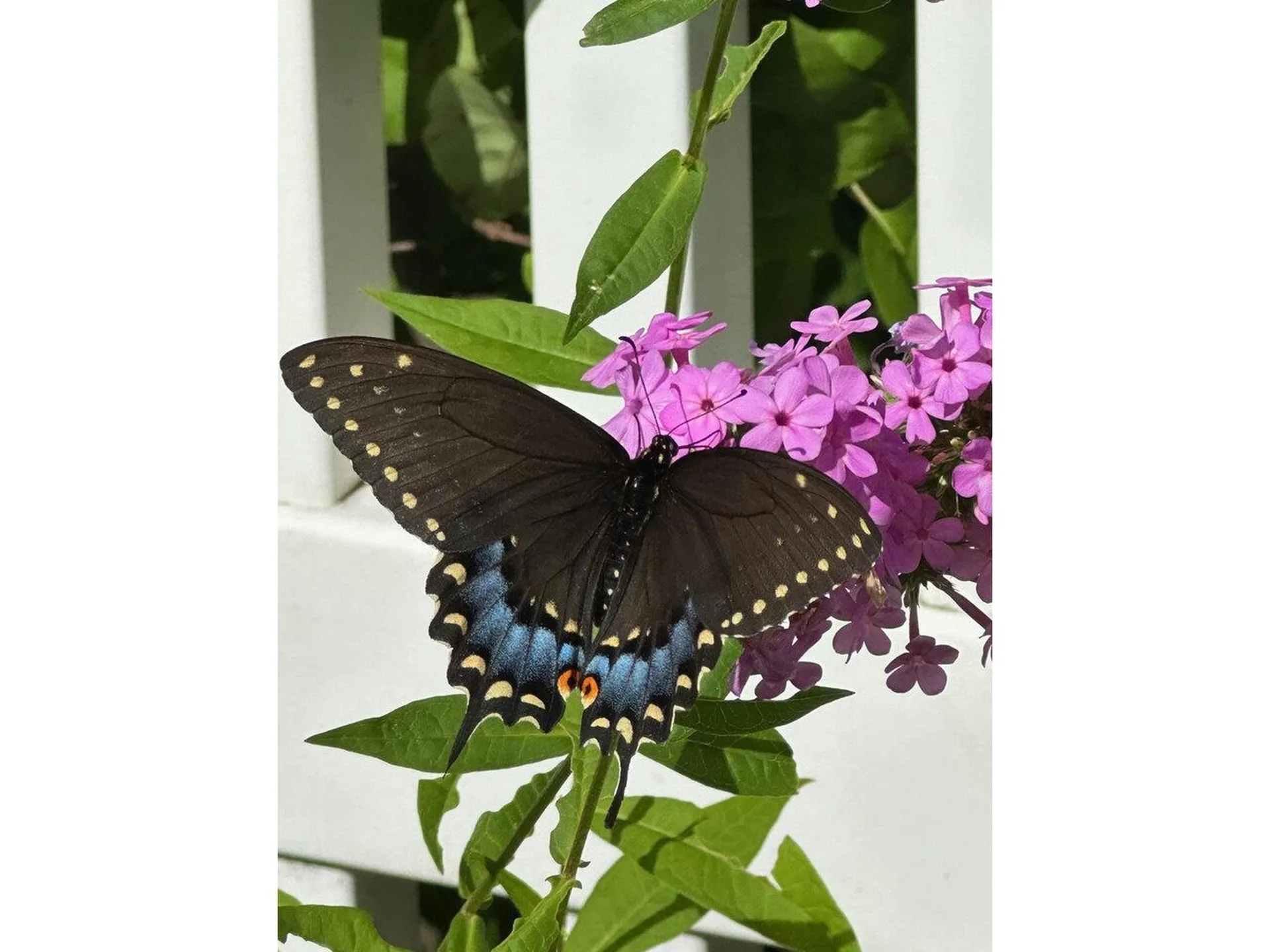 17 Westward Drive Burlington VT 05408