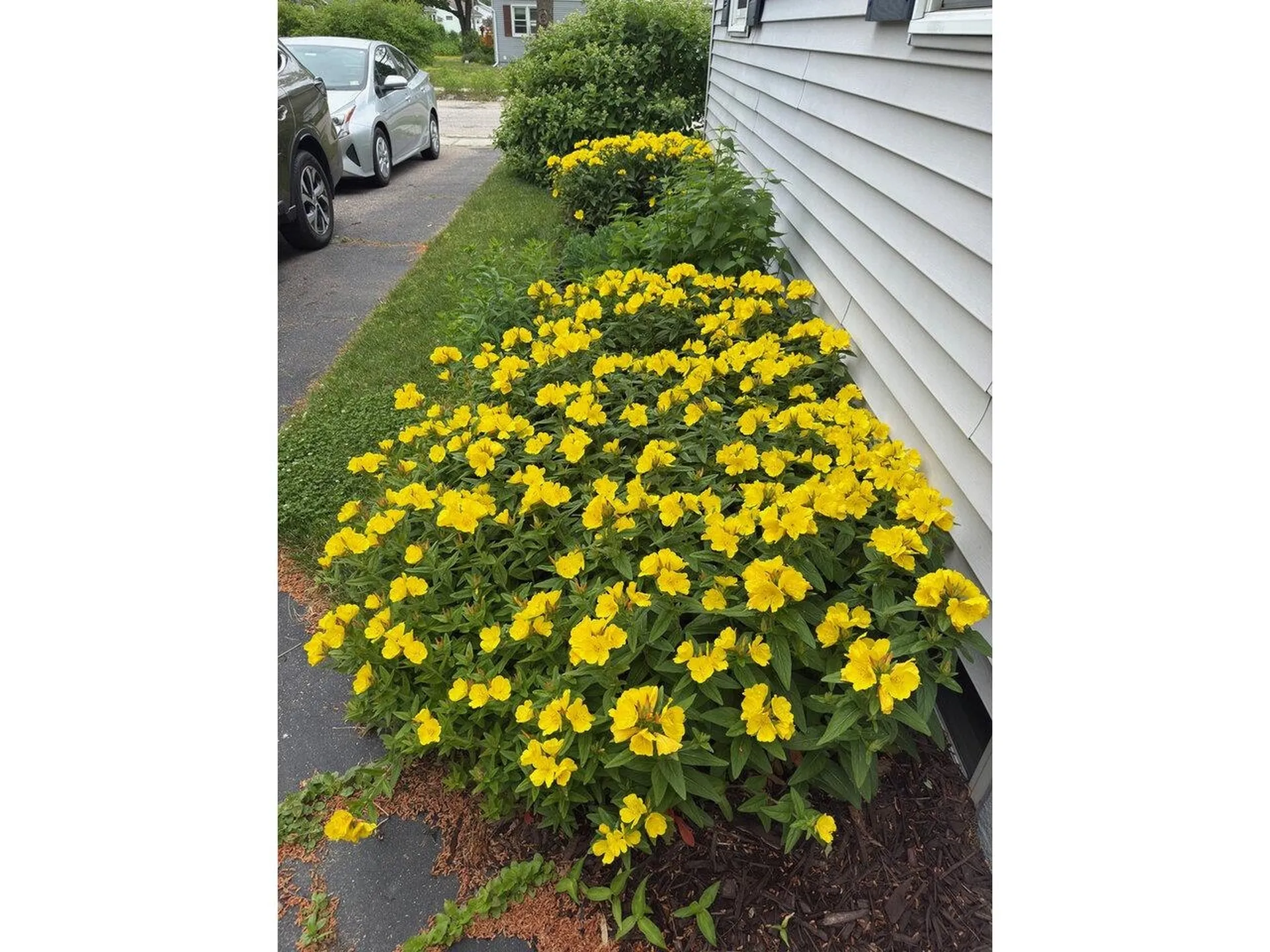 17 Westward Drive Burlington VT 05408