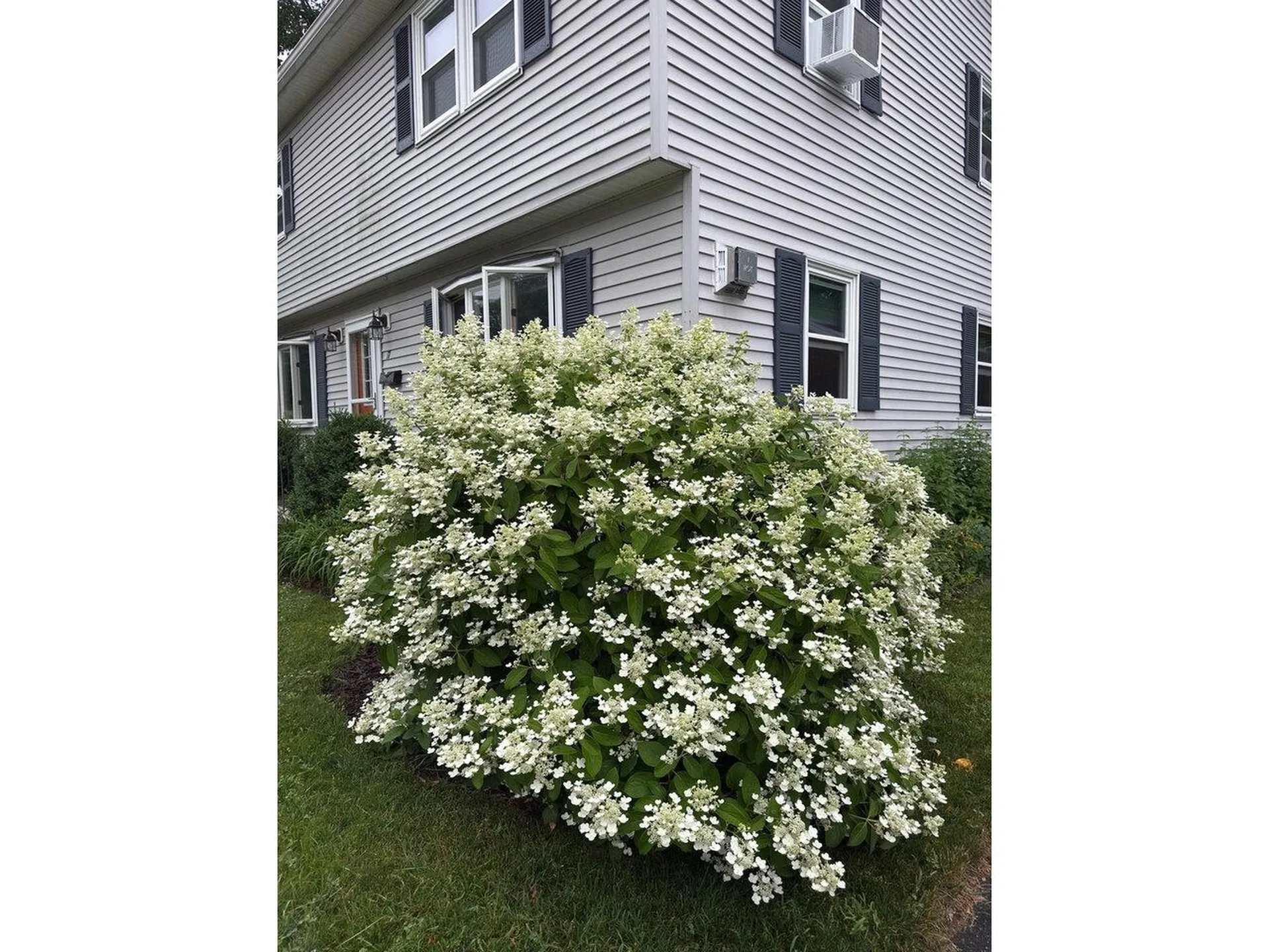 17 Westward Drive Burlington VT 05408