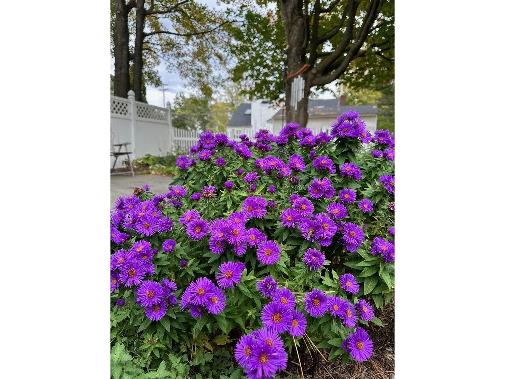 17 Westward Drive Burlington VT 05408