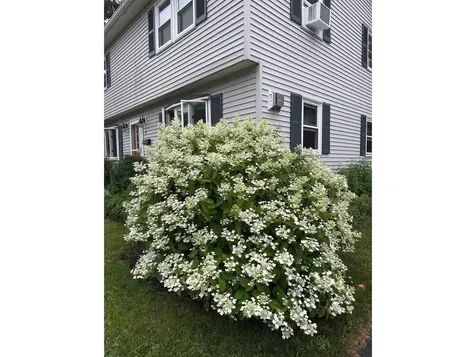 17 Westward Drive Burlington VT 05408