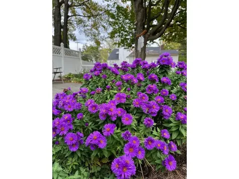 17 Westward Drive Burlington VT 05408