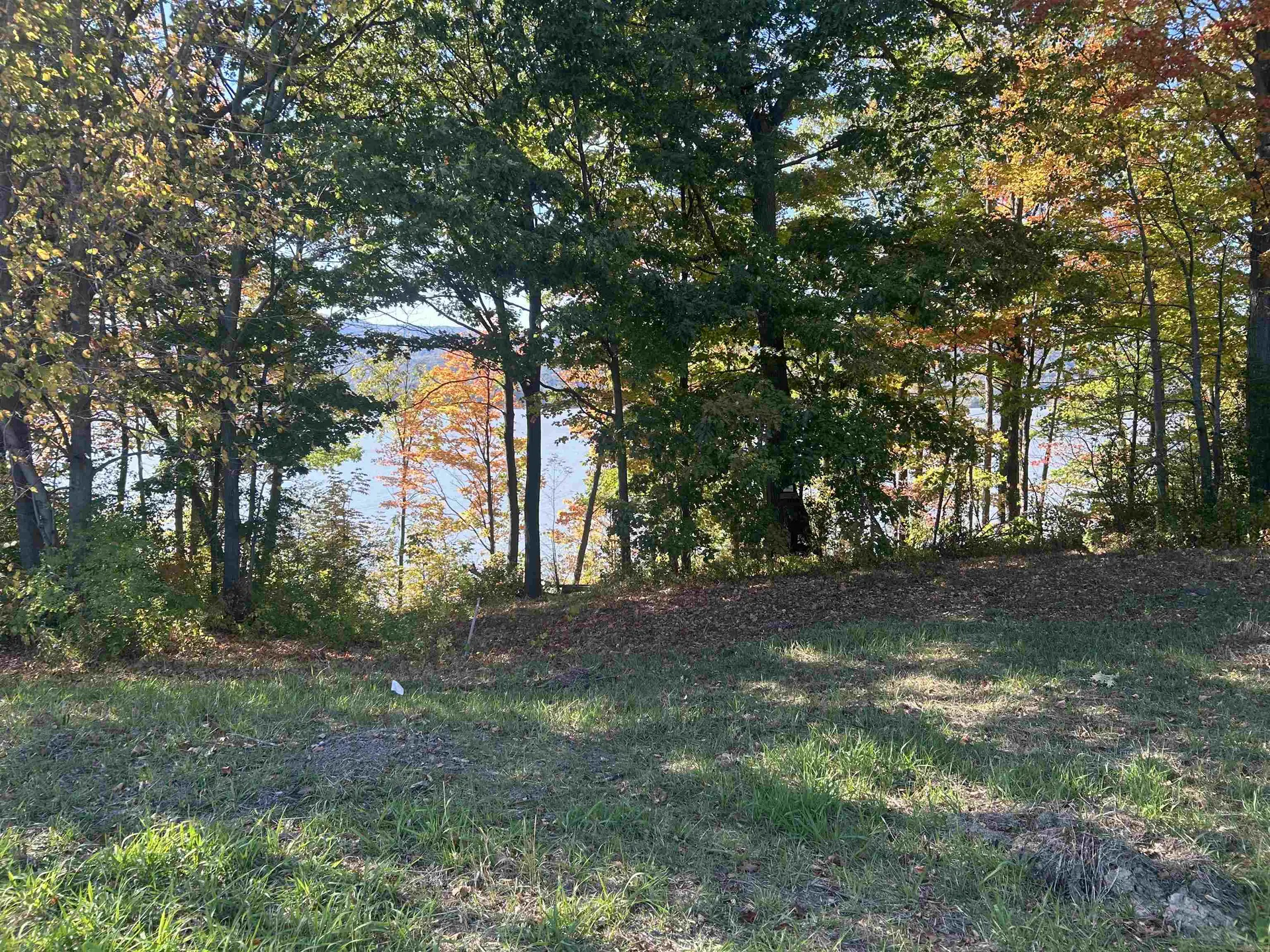 Lot 18 Delong Lane Shoreham VT 05770