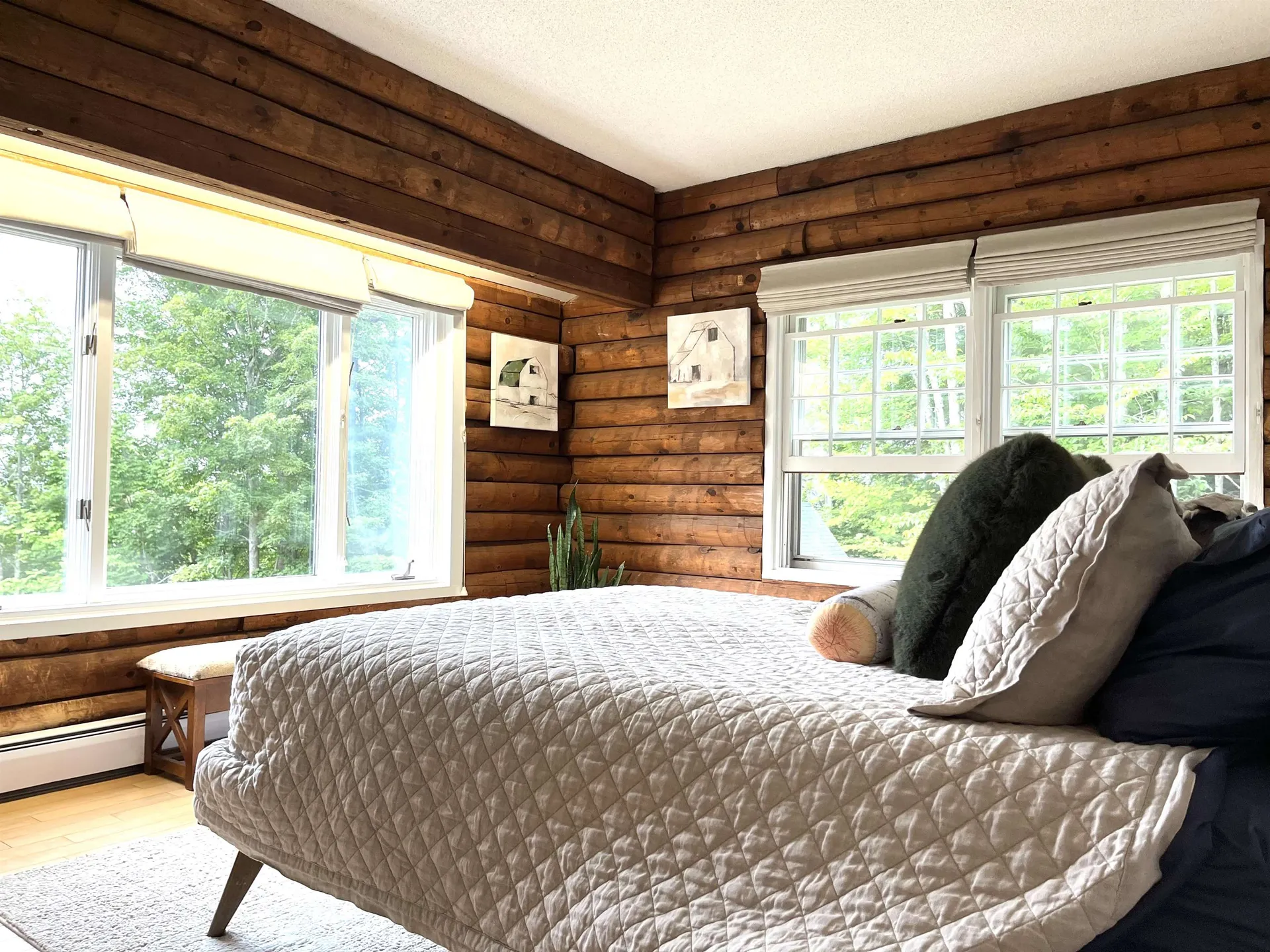 290 Spring Hill Road Morristown VT 05661