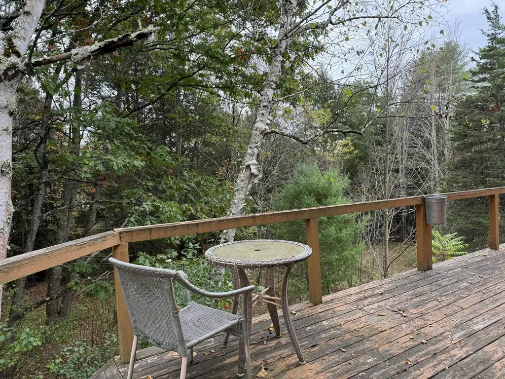 734 Mill Pond Road Wells VT 05774