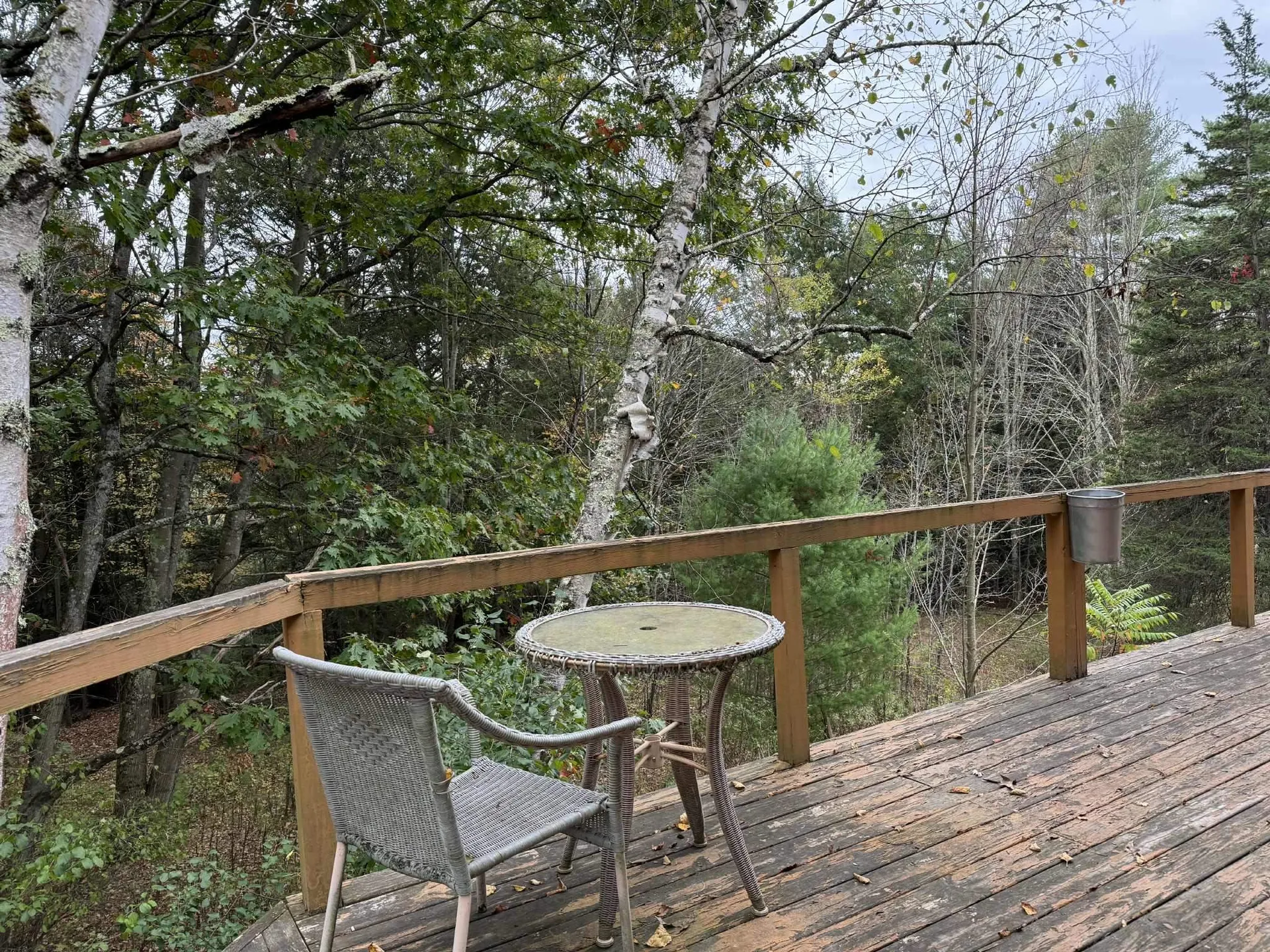 734 Mill Pond Road Wells VT 05774