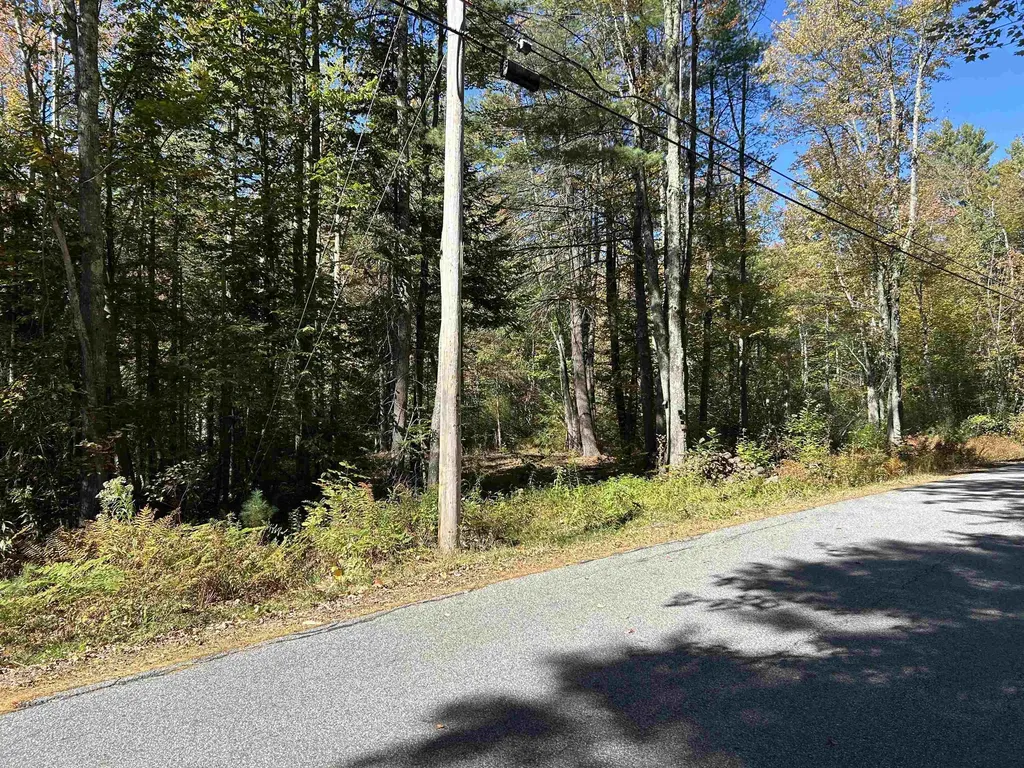 Birch Hill Road New Durham NH 03809