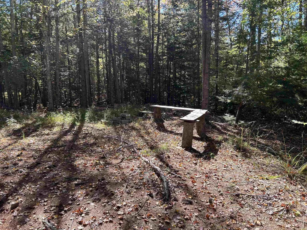 Birch Hill Road New Durham NH 03809