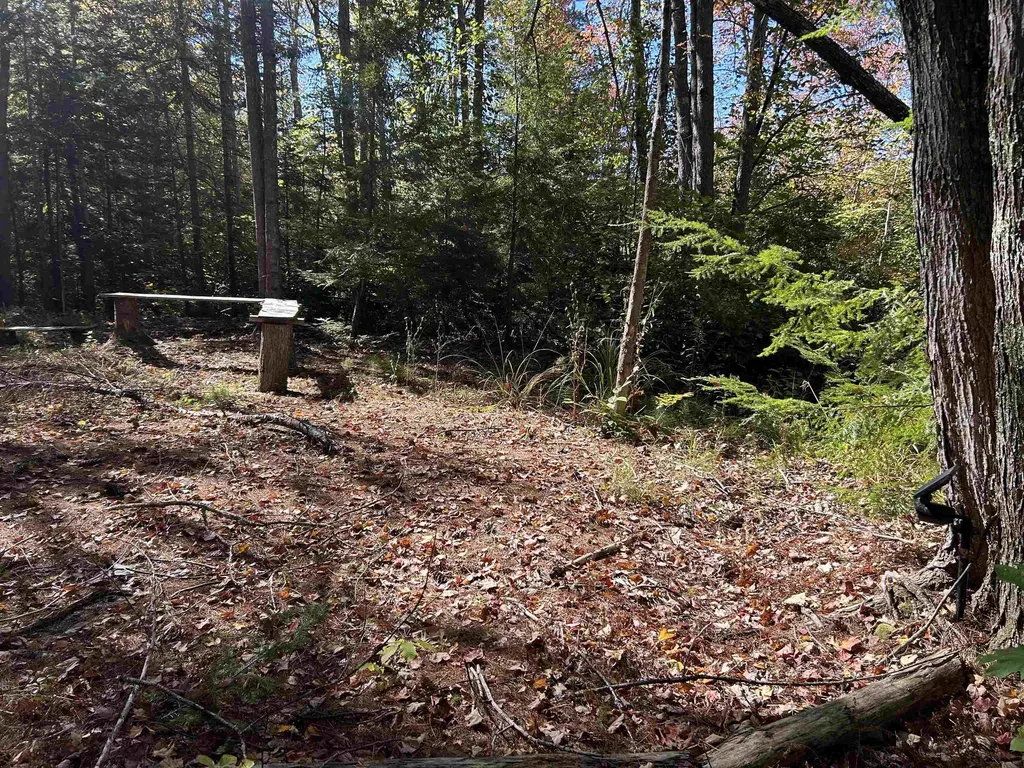 Birch Hill Road New Durham NH 03809