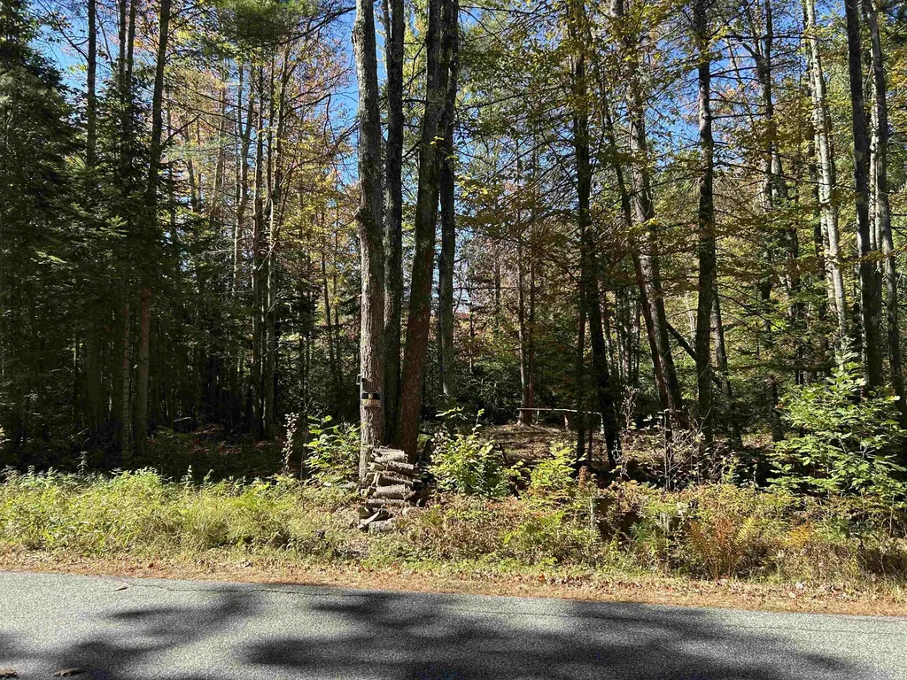 Birch Hill Road New Durham NH 03809